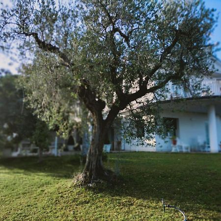 Villa Margherita San Giovanni Teatino Bagian luar foto